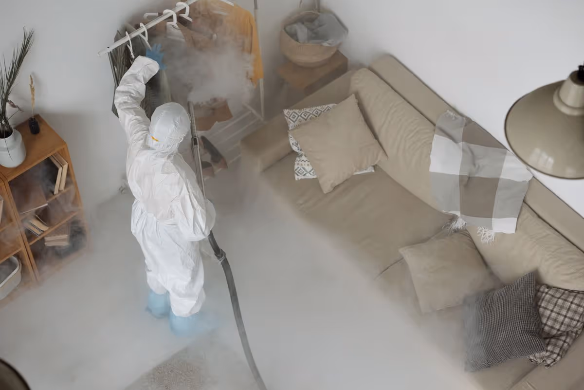A GreenClean.es team member cleaning a bright home